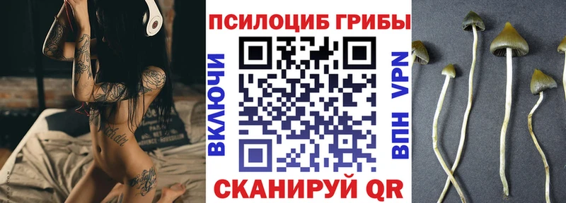 где продают   Старый Оскол  Псилоцибиновые грибы мухоморы 