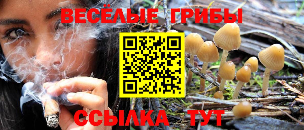 Старый Оскол  Псилоцибиновые грибы Magic Shrooms  Галлюциногенные грибы мицелий  Вход с VPN 