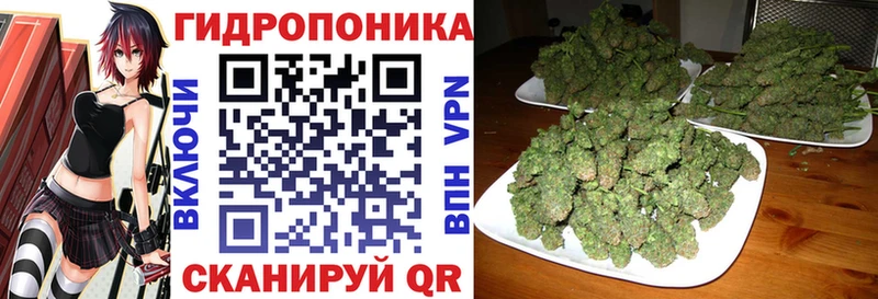 купить наркотик  Старый Оскол  Бошки Шишки семена 